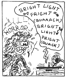 Bright Light Fright sketch 5