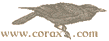 A part of corax.com