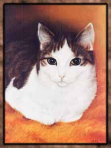 cat billy
