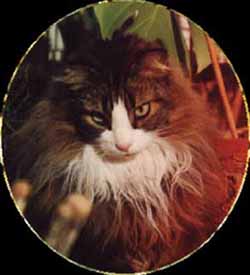 Charlie