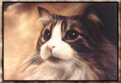 cat charlie 1