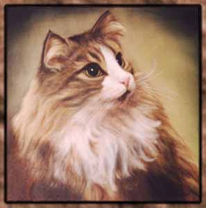 cat charlie 3