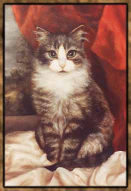 cat charlie 2
