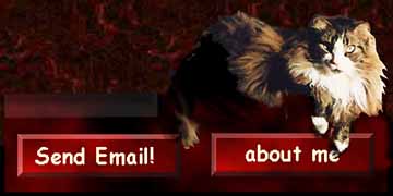 clickable cat image 1