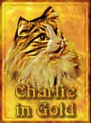 Charlie in Gold