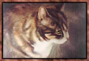 cat minka