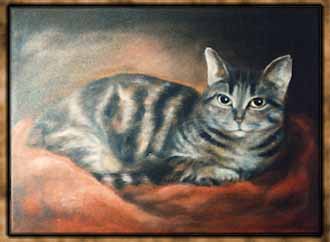 cat molly