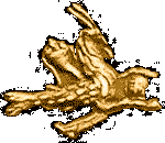 Capricorn gold