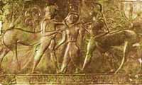 Centaurs