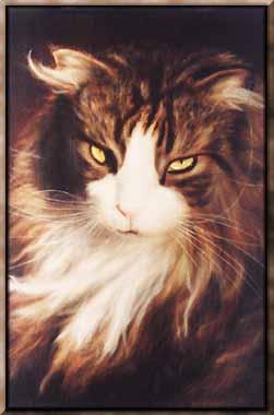 cat charlie 4