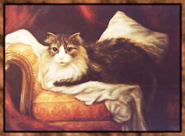 cat charlie 5