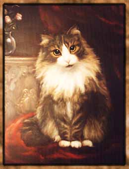 cat charlie 6