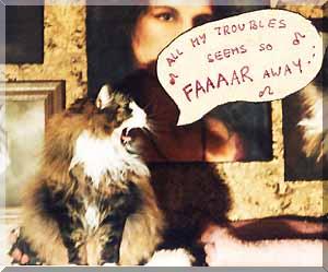 singing cat 3
