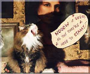 singing cat 4