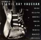 tribute to SRV
